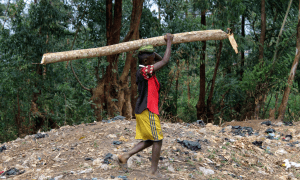 Climate Yes! The roadmap to climate justice