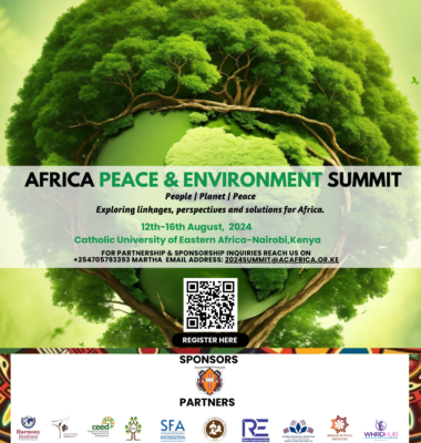 AFRICA PEACE AND ENVIRONMENT SUMMIT