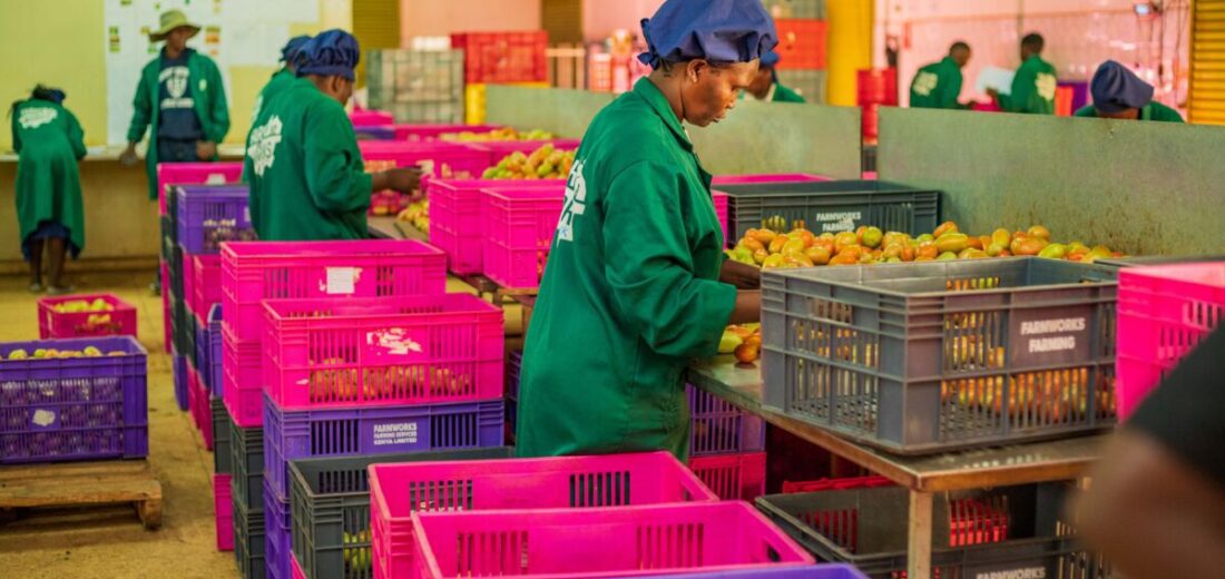 Kenya Agriculture and Retail Innovation: A New Era