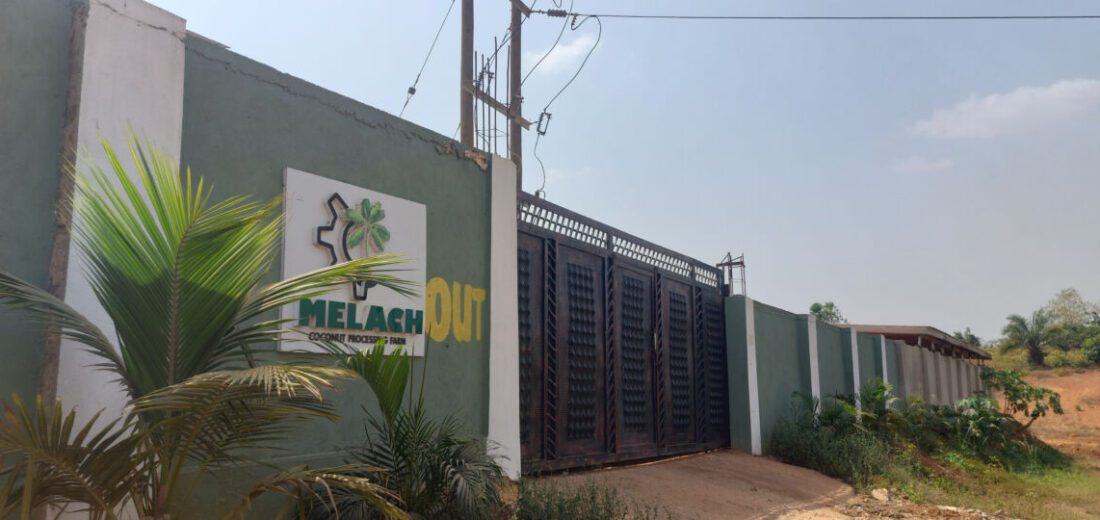 African Agribusiness Success: Melach and Shalem