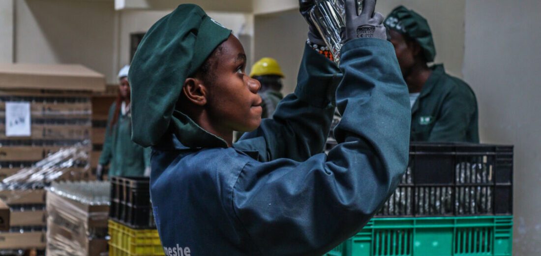 Green Entrepreneurship in East Africa: Stories of Impact
