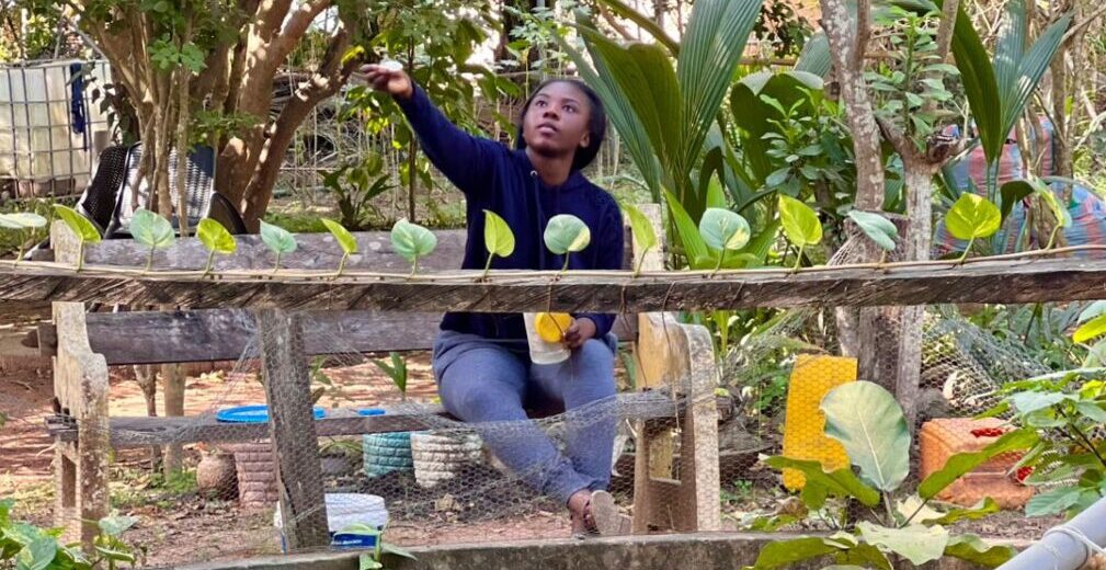  The Hundred Set Solution: A Young Innovator Reimagining Yam Farming in Ghana