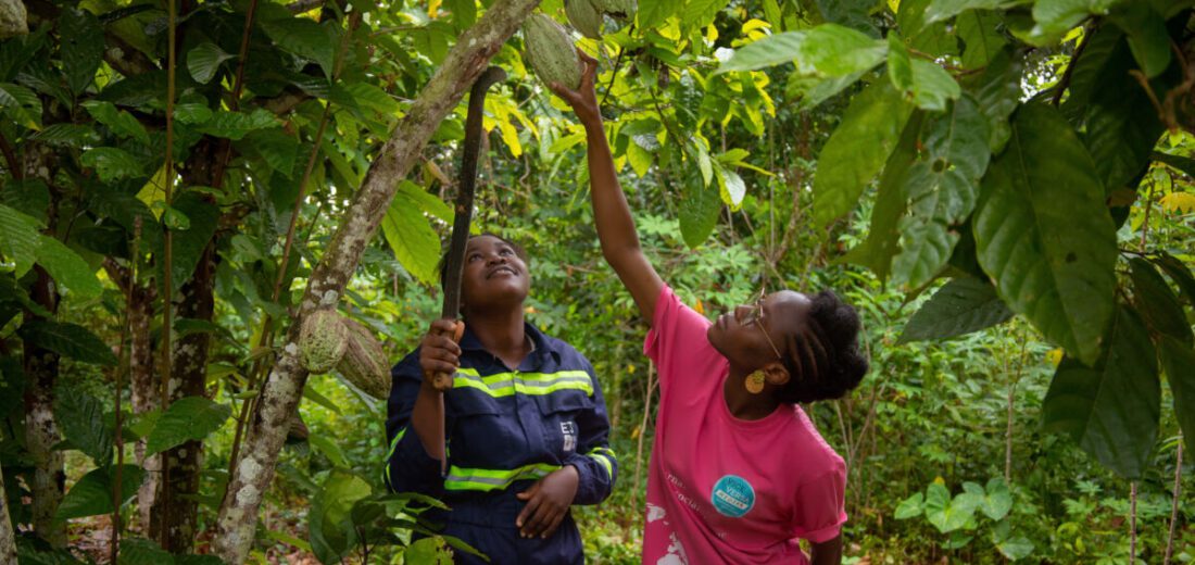 Sowing a New Path Beyond the City Lights