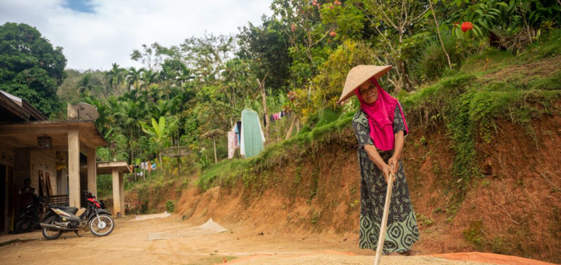 Locally-Led, Globally Impactful: COP30 Must Deliver for Tropical Forests