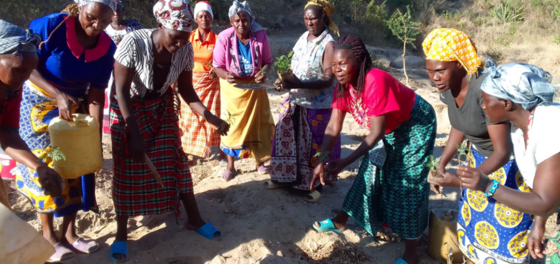 One woman’s resolve to turn gullies into greenlands