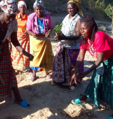 One woman’s resolve to turn gullies into greenlands