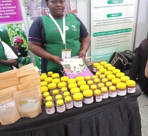 From Kitchen Gardens to County Budgets: How Makueni Women Are Driving Climate Resilience
