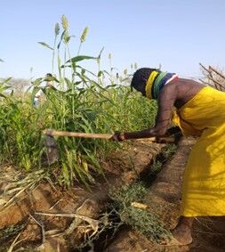 How Lolupe Women Stepped in When Aid Failed